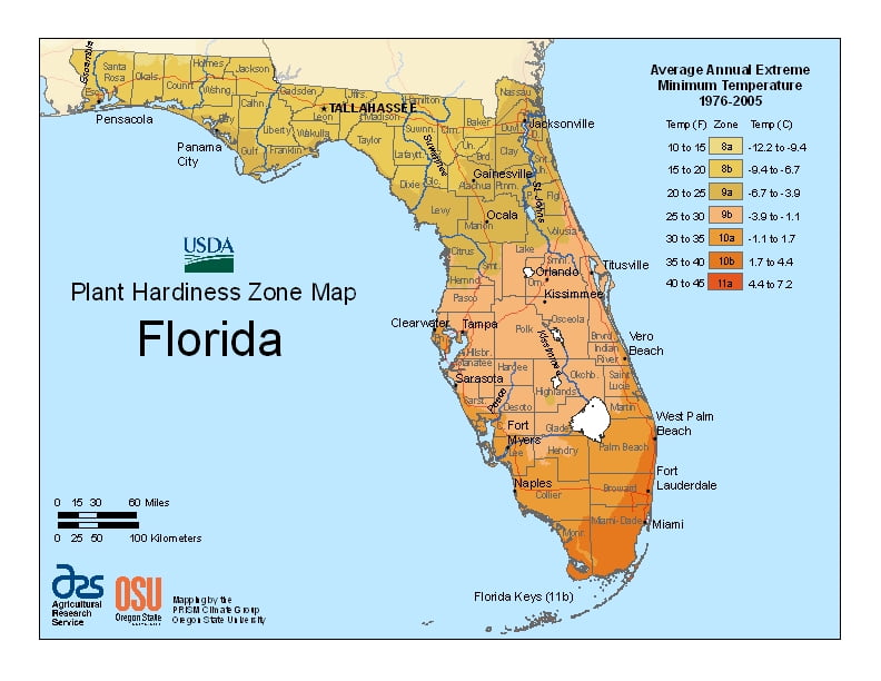 Florida USDA Plant Hardiness Zone Map Ray Garden Day