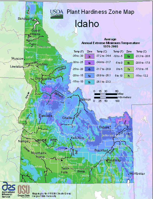 Idaho USDA Plant Hardiness Zone Map