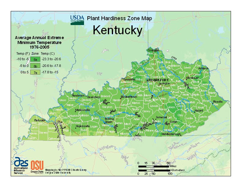 Kentucky USDA Plant Hardiness Zone Map