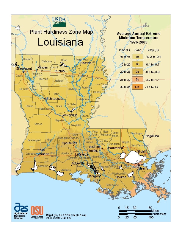 Louisiana USDA Plant Hardiness Zone Map Ray Garden Day
