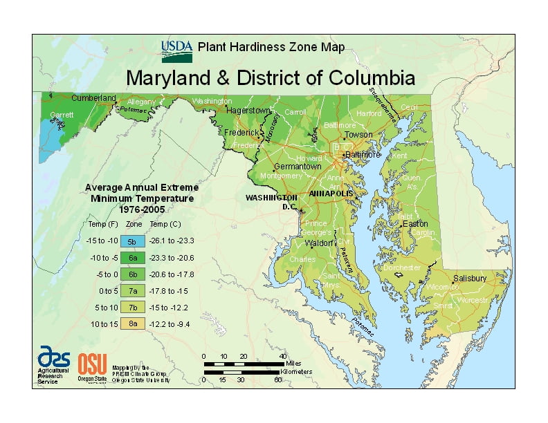 Maryland USDA Plant Hardiness Zone Map
