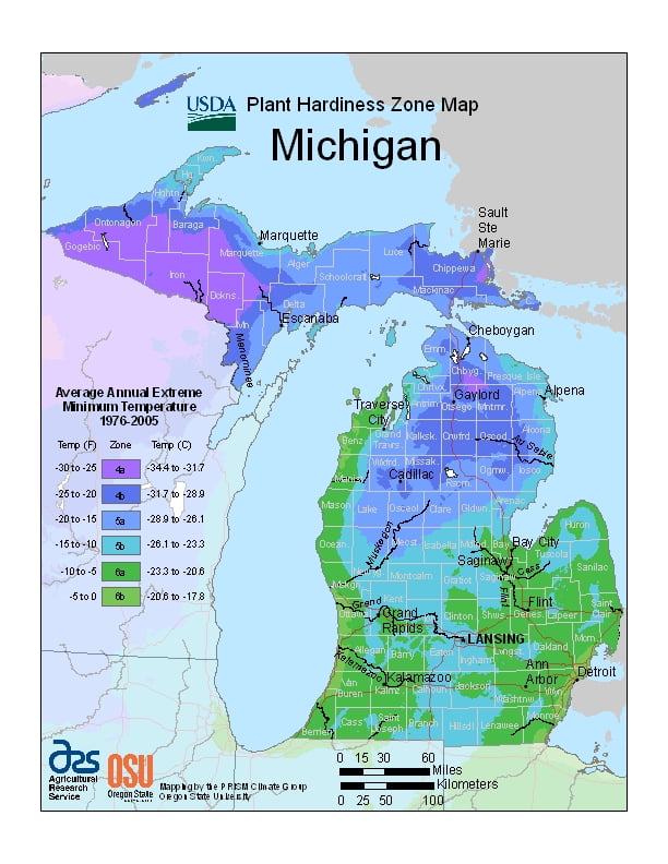 Michigan USDA Plant Hardiness Zone Map