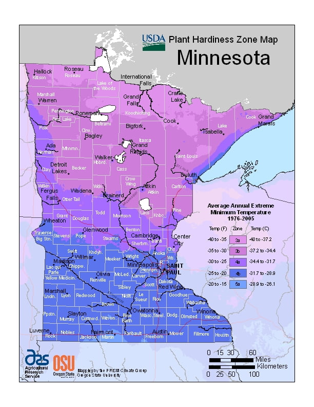 Minnesota USDA Plant Hardiness Zone Map
