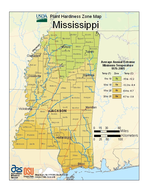 Mississippi USDA Plant Hardiness Zone Map