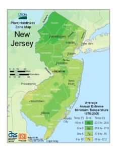 New Jersey USDA Plant Hardiness Zone Map - Ray Garden Day