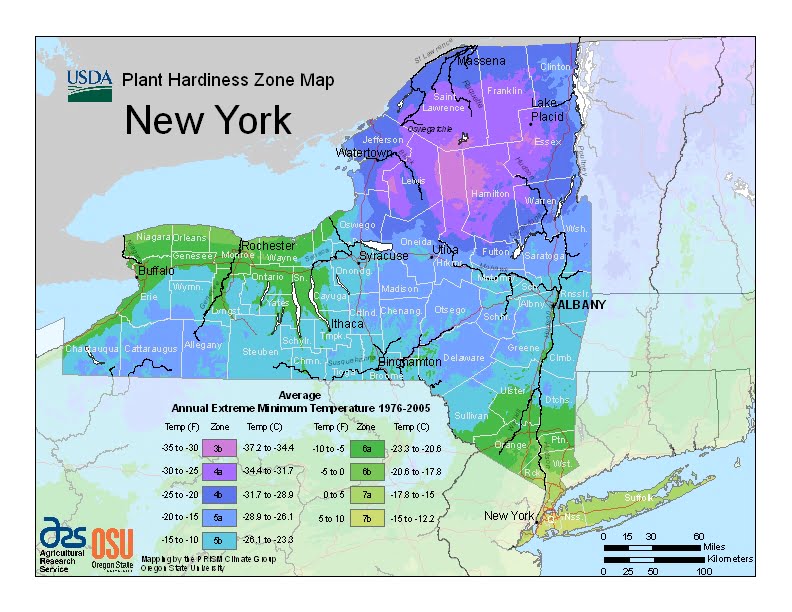 New York USDA Plant Hardiness Zone Map