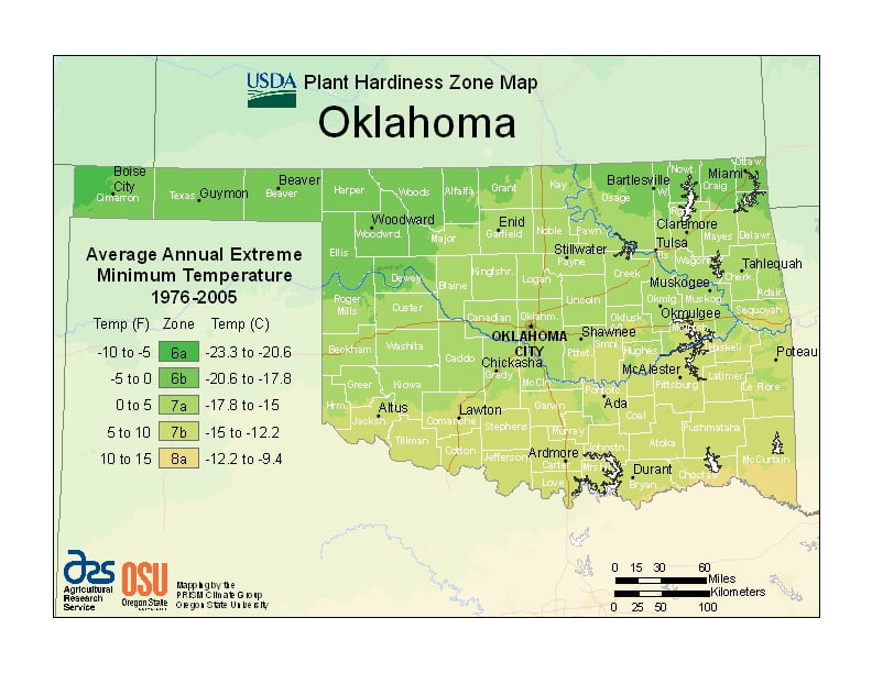 Oklahoma USDA Plant Hardiness Zone Map