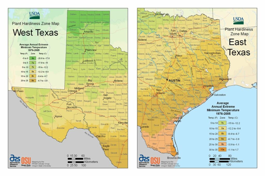 West and East Texas USDA Plant Hardiness Zone Maps