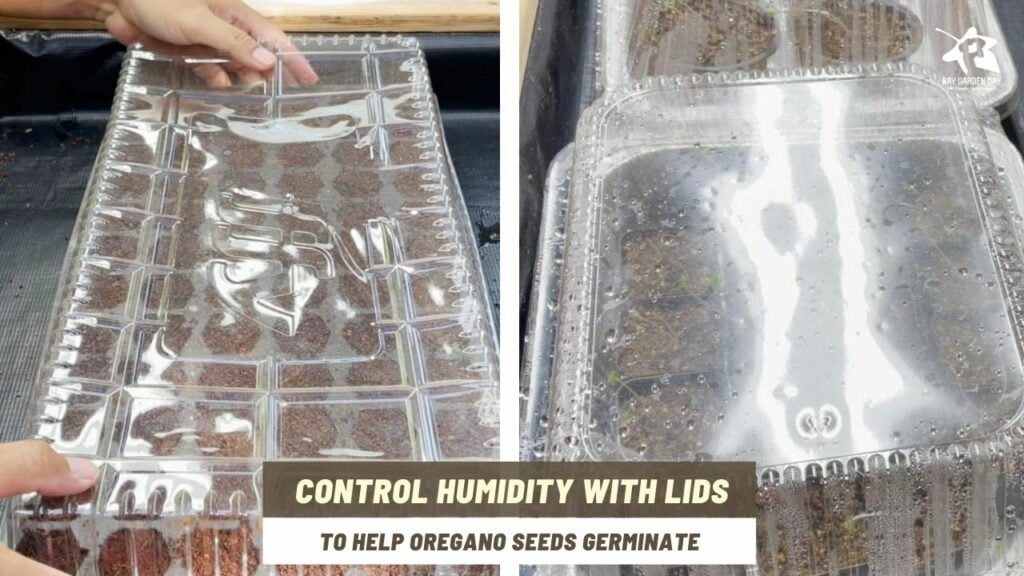 Control humidity with lids