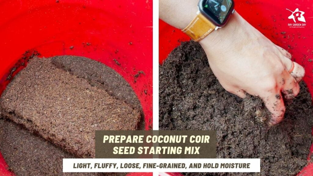 Prepare coconut coir seed starting mix