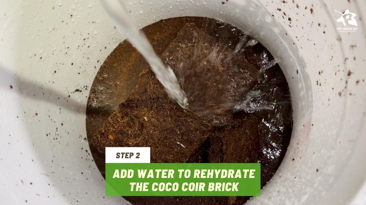 Add water to rehydrate the coco coir brick