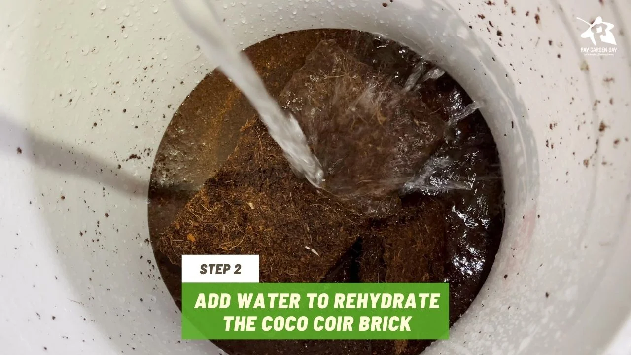 Add water to rehydrate the coco coir brick