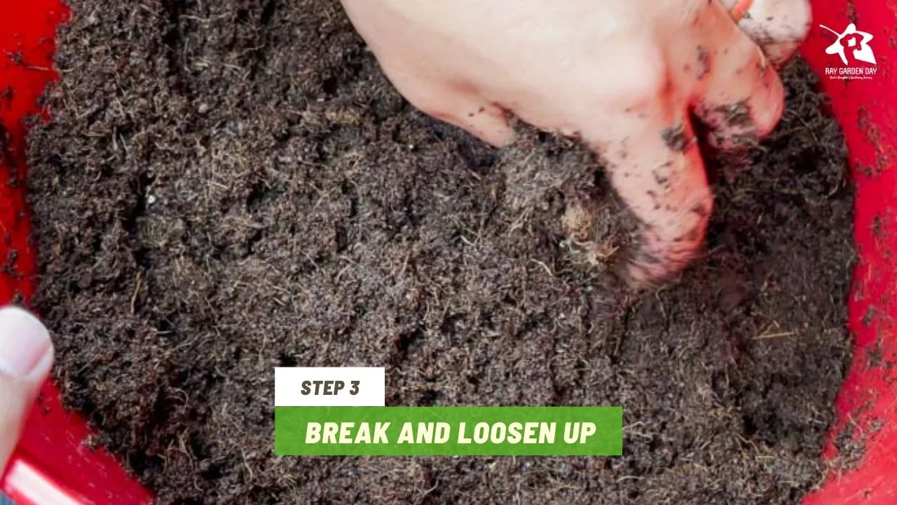 Break and loosen up coco coir brick
