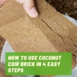 How to prepare coconut coir brick in 4 easy steps new
