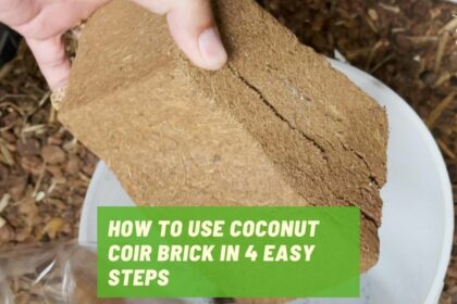 How to prepare coconut coir brick in 4 easy steps new