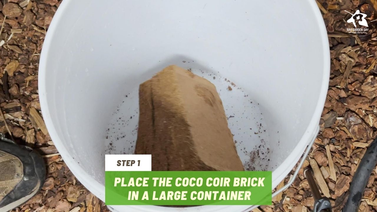 Place the coco coir brick in a large container