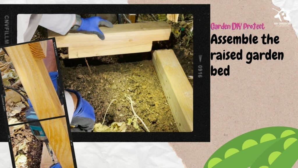 Gardener assembling a raised bed on the ground.