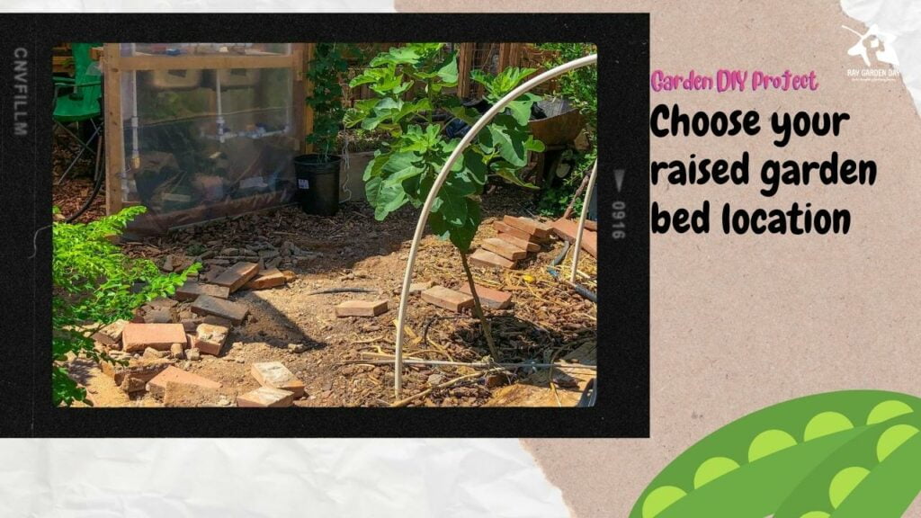 Find a suitable location for your raised bed.