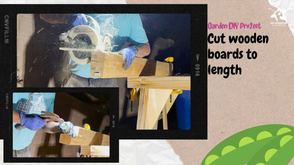 Gardener cutting lumber for raised bed build.