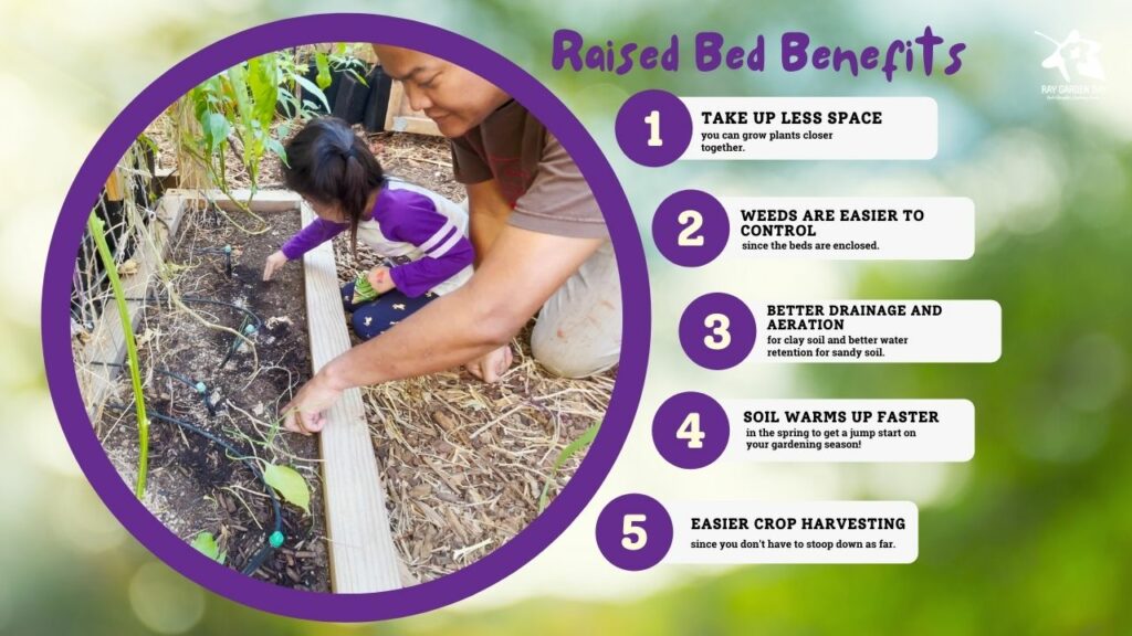 Benefits to growing in a raised garden bed