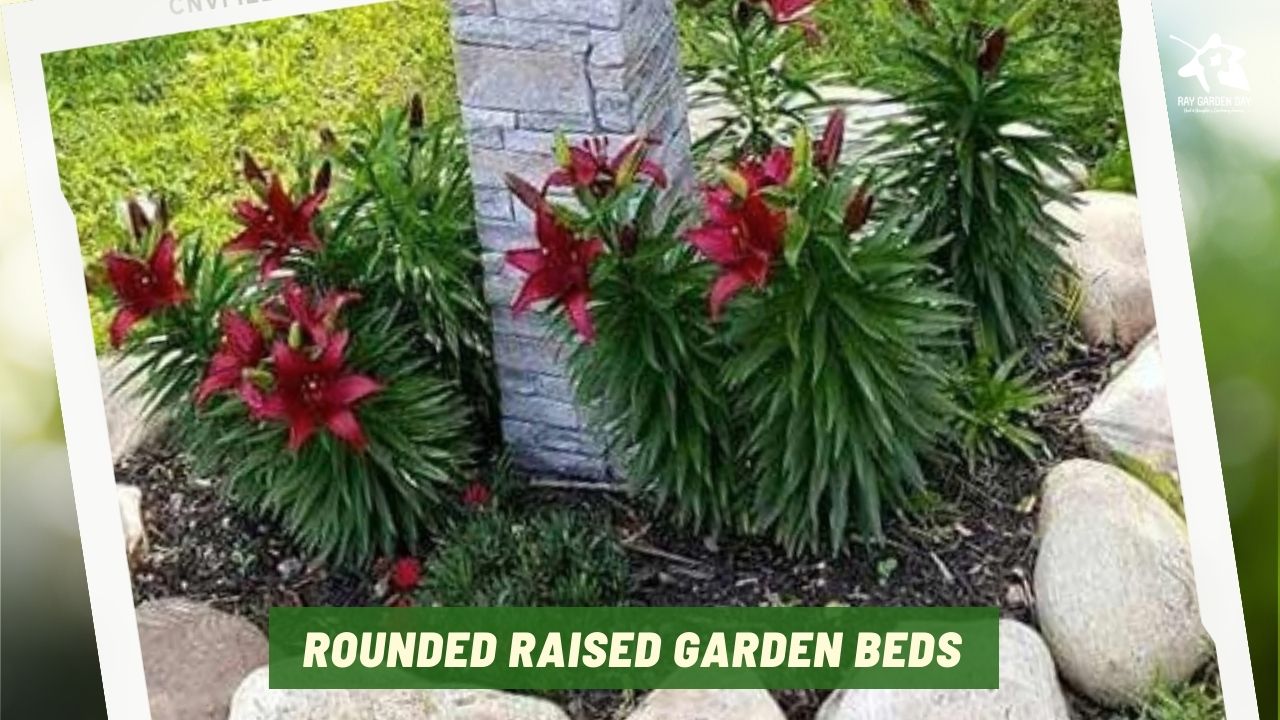 Rounded raised garden bed