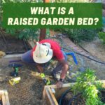 A gardener building a raised garden bed
