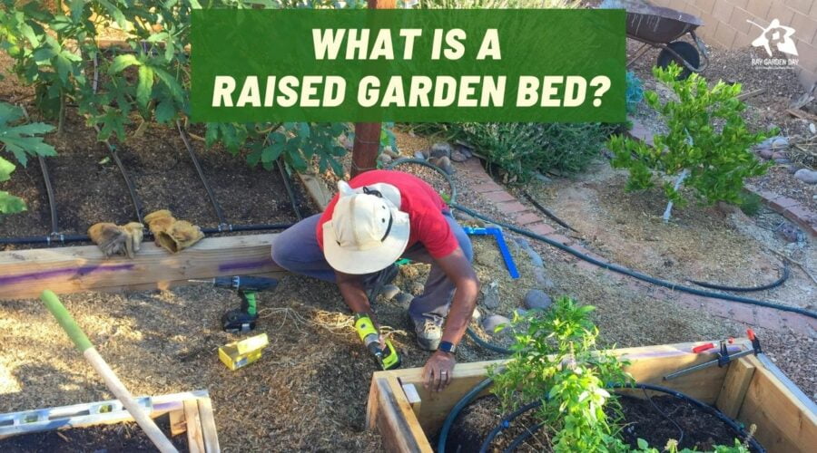 A gardener building a raised garden bed